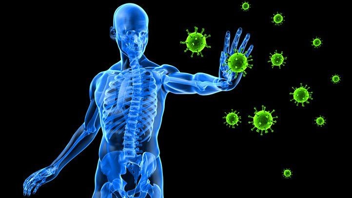 How your Immune System Protects your Body from Attackers
