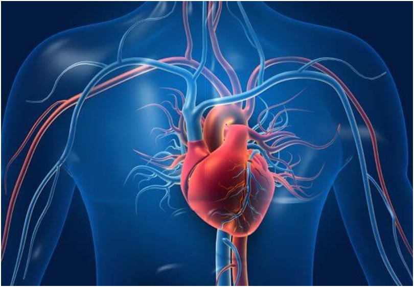 clean our arteries naturally