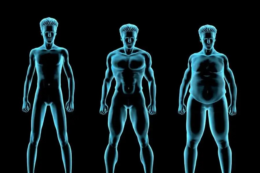 Different kind of Male Body Types