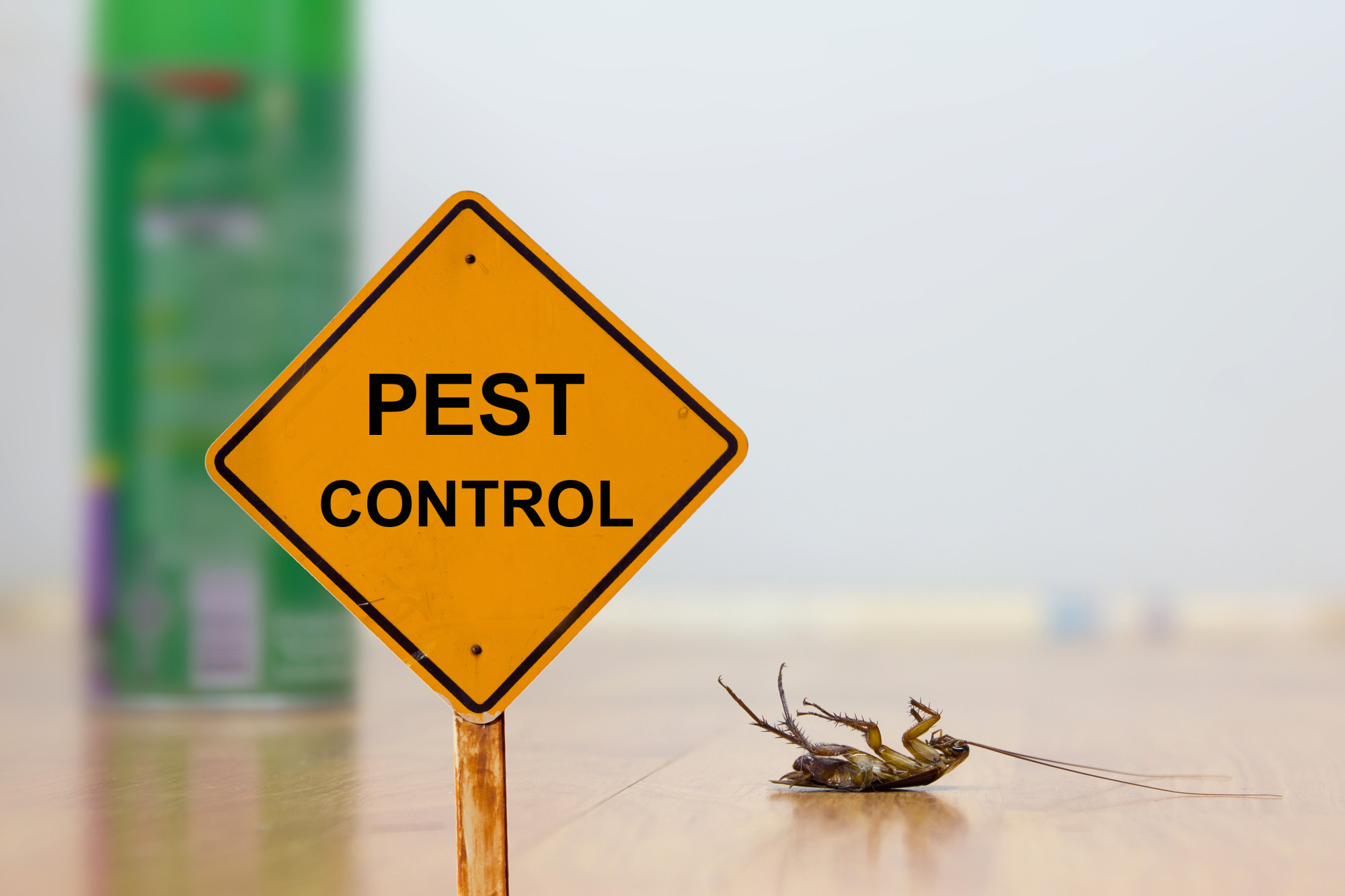 DIY Pest Control: Does it Work?